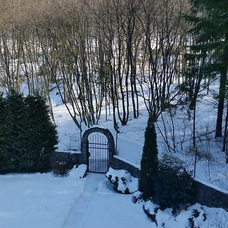 Zlaty Jelen 3* Košice