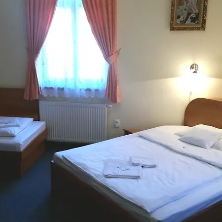 Zlaty Jelen 3* コシツェ