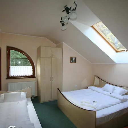 Zlaty Jelen Guest house 3*
