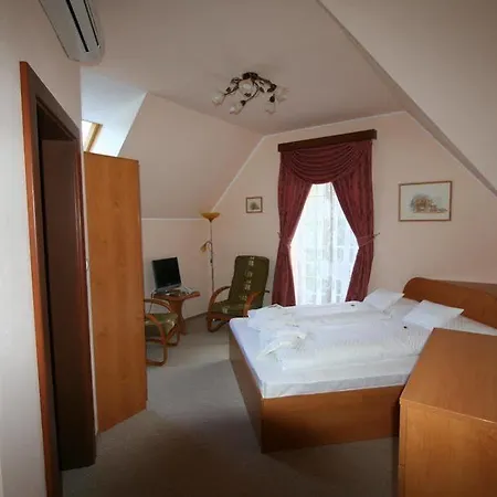 Zlaty Jelen ゲストハウス