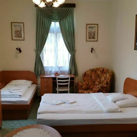 게스트하우스 Zlaty Jelen 3*