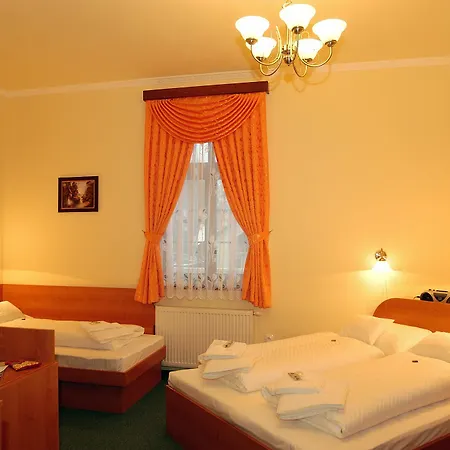 Zlaty Jelen ゲストハウス