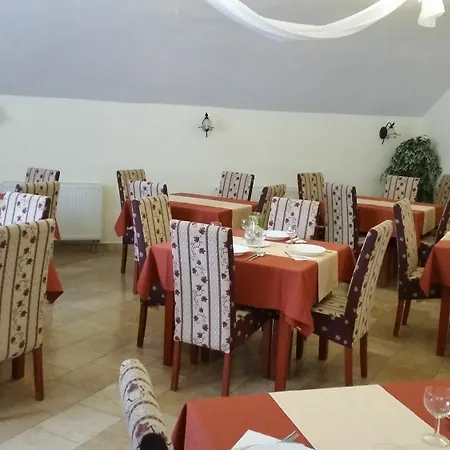 Zlaty Jelen コシツェ