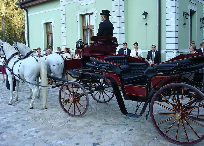 Zlaty Jelen Affittacamere 3*