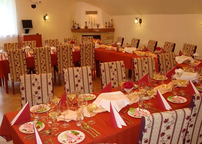 Zlaty Jelen Affittacamere 3*