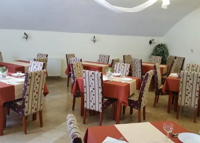 Zlaty Jelen Affittacamere 3*