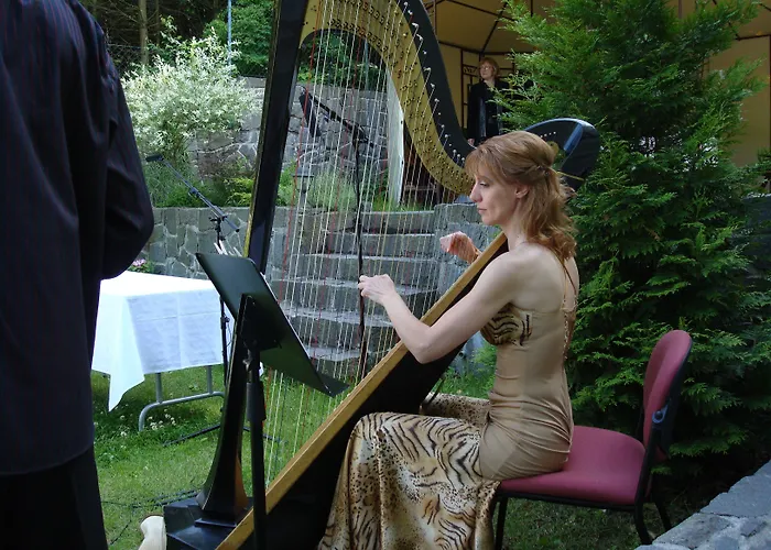 Zlaty Jelen Affittacamere