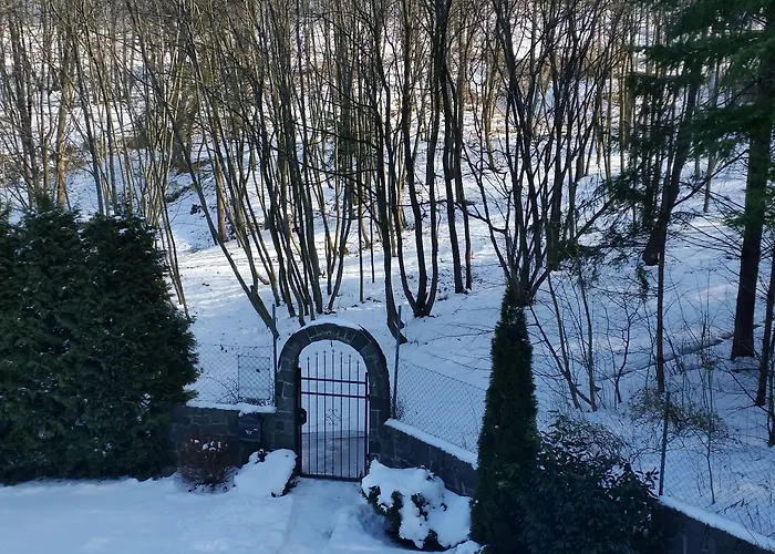 Zlaty Jelen 3* Košice